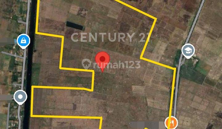 Tanah Sawah Sukatenang Sukaringin Bekasi Utara Murah Meriah 1