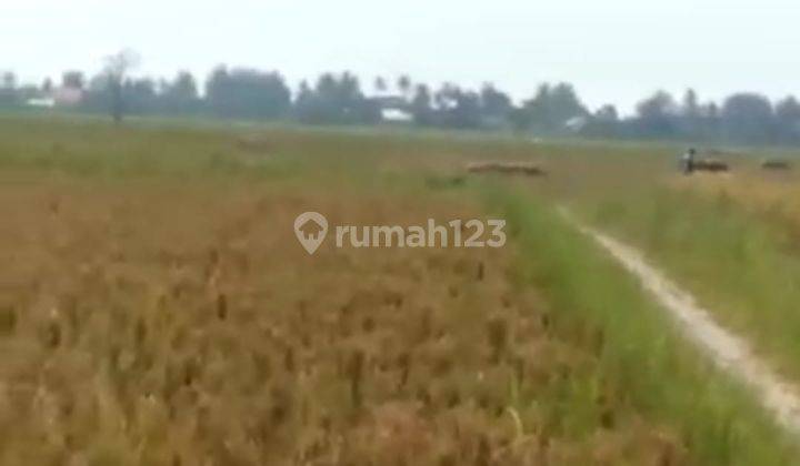 Dijual Lahan di Tambelang, Bekasi 4