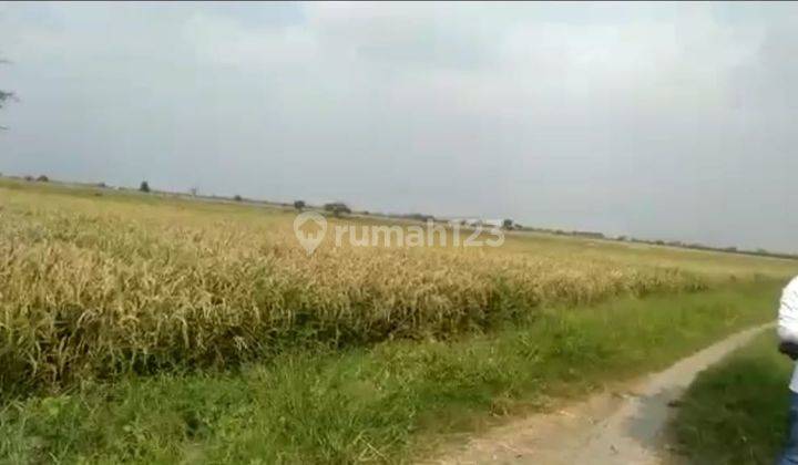 Dijual Lahan di Tambelang, Bekasi 2