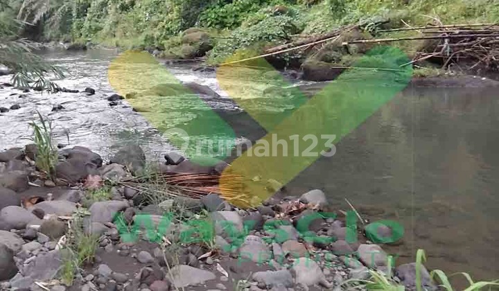 Dijual Cepat Tanah Perkebunan Menarik Daerah Talawaan, Harga Sangat Murah