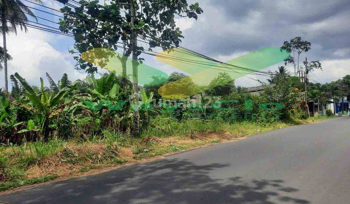 DIJUAL CEPAT TANAH MENARIK DAN STRATEGIS DAERAH MAPANGET, HARGA SANGAT MURAH 1