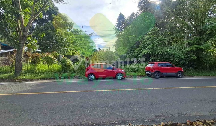 Dijual Cepat Tanah Sangat Strategis Daerah Kalawat, Harga Sangat Murah