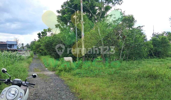Dijual Cepat Tanah Cantik Dan Menarik Daerah Mapanget, Harga Sangat Murah Dijual Cepat Tanah Cantik Dan Menarik Daerah Mapanget, Harga Sangat Murah