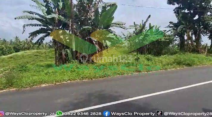 Dijual Cepat Tanah Sangat Strategis Daerah Wanea, Harga Sangat Murah 2