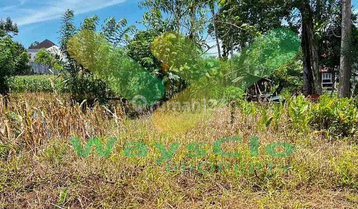 Dijual Cepat Tanah Cantik Dan Menarik Daerah Tomohon, Harga Sangat Murah 2