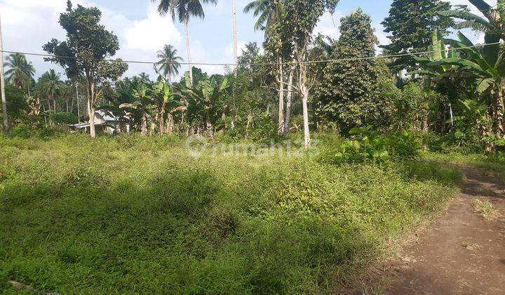 DIJUAL CEPAT TANAH MENARIK DAERAH WUSA MINUT, HARGA SANGAT MURAH 1