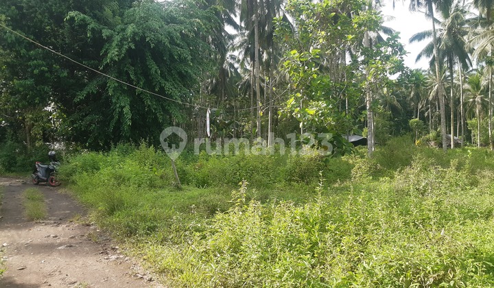 DIJUAL CEPAT TANAH MENARIK DAERAH WUSA MINUT, HARGA SANGAT MURAH 2