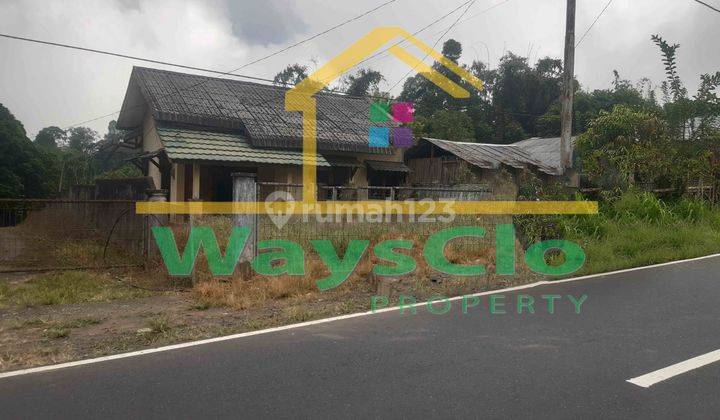 Jual Tanah Di Tomohon Harga Terbaru 2023