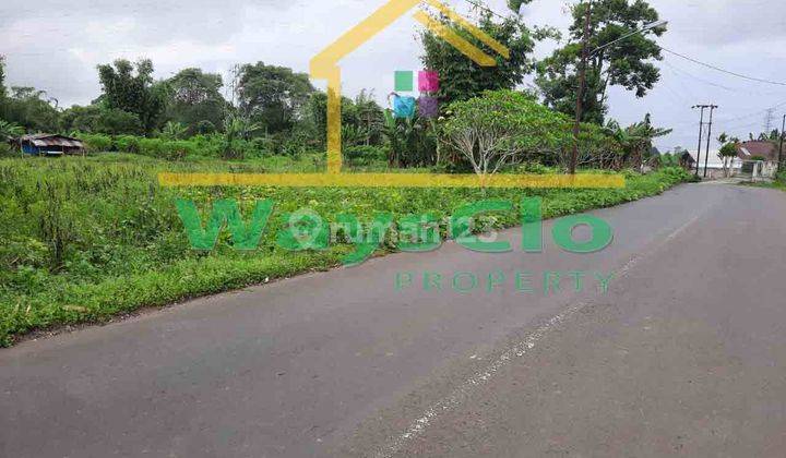 DIJUAL CEPAT TANAH CANTIK DAN STRATEGIS DAERAH TOMOHON, HARGA SANGAT MURAH 1