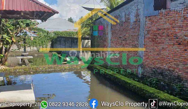 DIJUAL CEPAT TANAH PLUS TELAGA DAN RUMAH DAERAH KALASEY, HARGA SANGAT MURAH 3