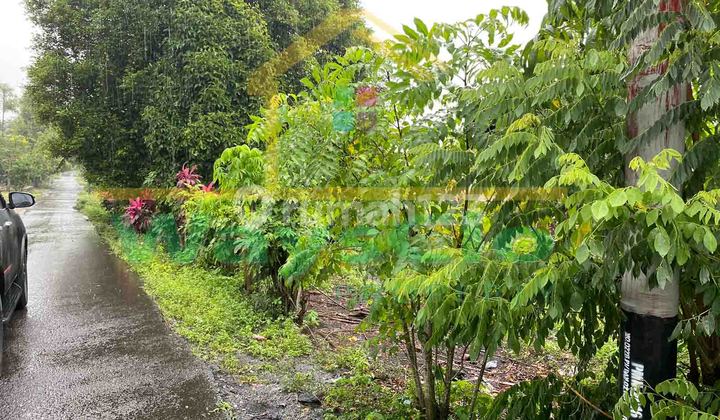 DIJUAL CEPAT TANAH CANTIK DAERAH LEMBEAN, HARGA SANGAT MURAH 1