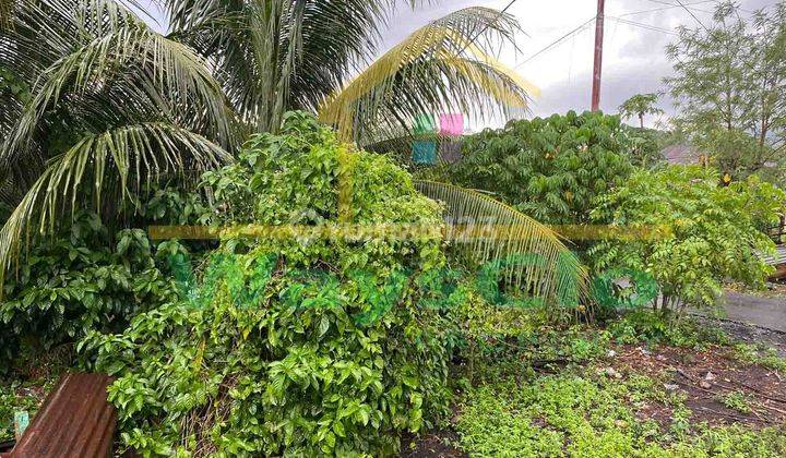 DIJUAL CEPAT TANAH CANTIK DAERAH LEMBEAN, HARGA SANGAT MURAH 4