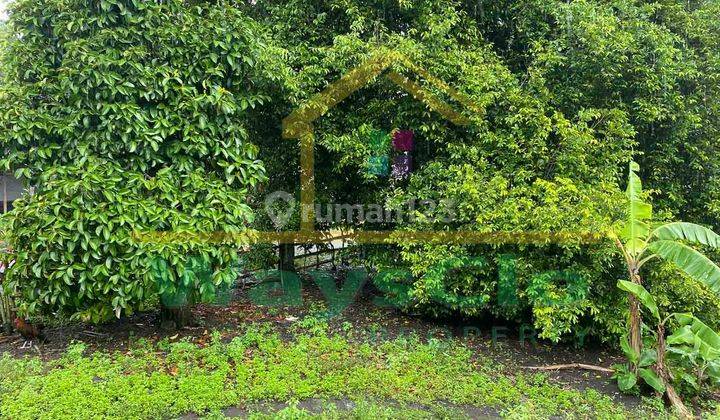 DIJUAL CEPAT TANAH CANTIK DAERAH LEMBEAN, HARGA SANGAT MURAH 8
