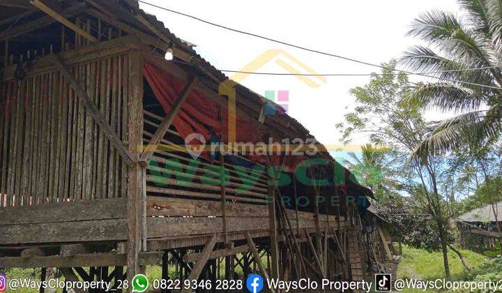 DIJUAL CEPAT TANAH MENARIK DENGAN KANDANG AYAM AKTIF, HARGA SANGAT MURAH 2