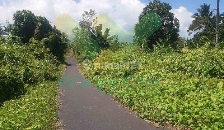 DIJUAL CEPAT TANAH CANTIK DAERAH MALALAYANG, HARGA SANGAT MURAH 2