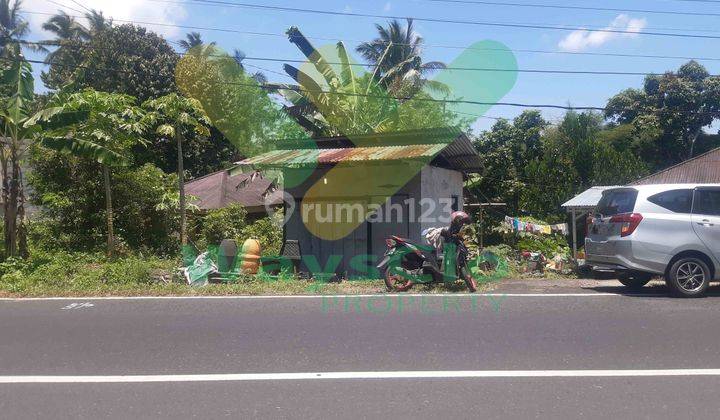 DIJUAL CEPAT TANAH STRATEGIS DEPAN JALAN UTAMA MAPANGET, BANTING HARGA SANGAT MURAH 1