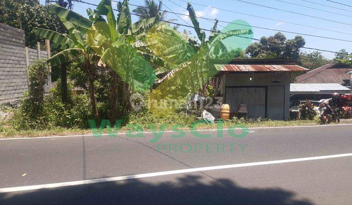 DIJUAL CEPAT TANAH STRATEGIS DEPAN JALAN UTAMA MAPANGET, BANTING HARGA SANGAT MURAH 2