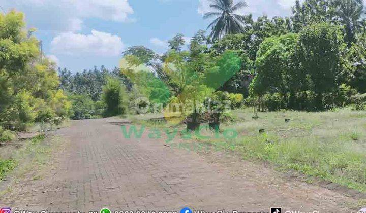 DIJUAL CEPAT TANAH PLUS RUMAH MENARIK DAERAH PINELENG, HARGA DI BAWAH PASARAN 1