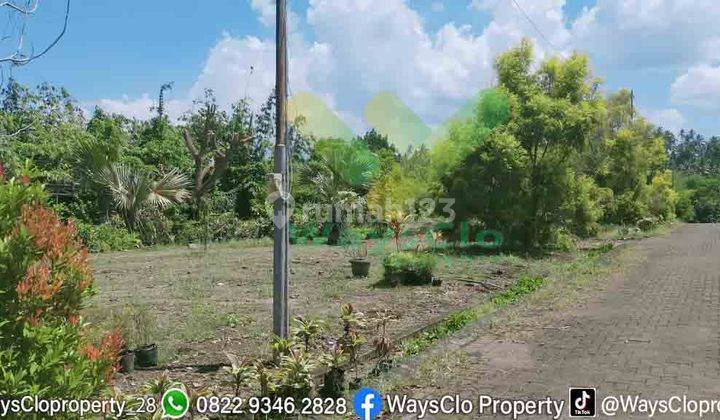 DIJUAL CEPAT TANAH PLUS RUMAH MENARIK DAERAH PINELENG, HARGA DI BAWAH PASARAN 3