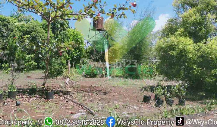 DIJUAL CEPAT TANAH PLUS RUMAH MENARIK DAERAH PINELENG, HARGA DI BAWAH PASARAN 5