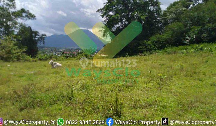 DIJUAL CEPAT TANAH CANTIK DAERAH PARIWISATA TOMOHON, HARGA SANGAT MURAH 4