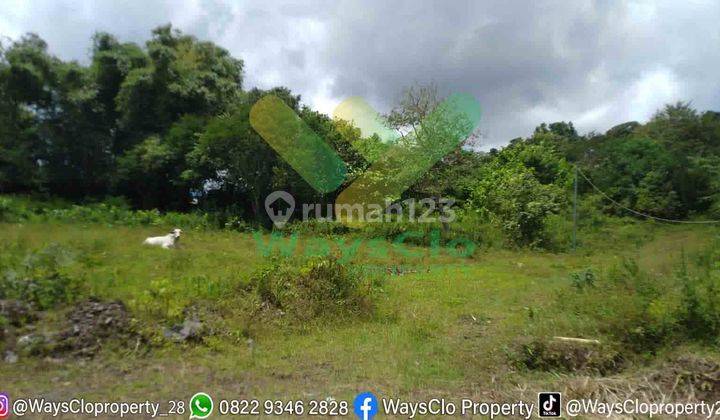 DIJUAL CEPAT TANAH CANTIK DAERAH PARIWISATA TOMOHON, HARGA SANGAT MURAH 6