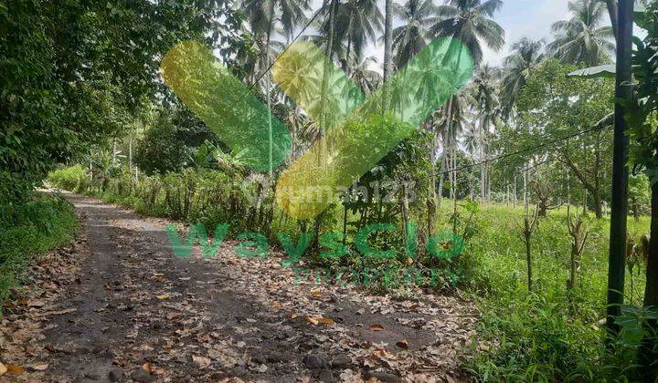 DIJUAL CEPAT TANAH CANTIK DAN MENARIK DAERAH DIMEMBE, HARGA SANGAT MURAH 6