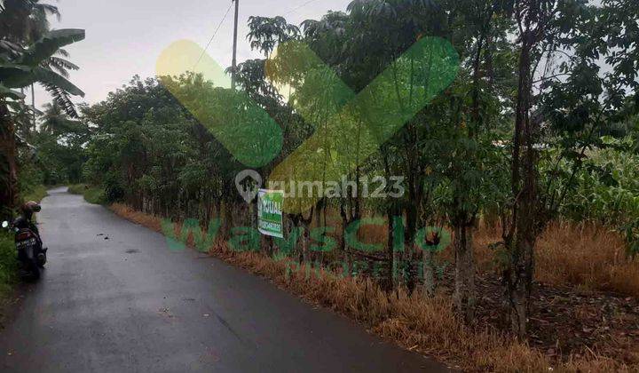 DIJUAL CEPAT TANAH CANTIK DAERAH KOKA MAPANGET, HARGA DI BAWAH PASARAN 2