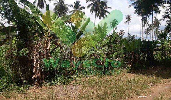 DIJUAL CEPAT TANAH CANTIK DAERAH KOKA MAPANGET, HARGA DI BAWAH PASARAN 3