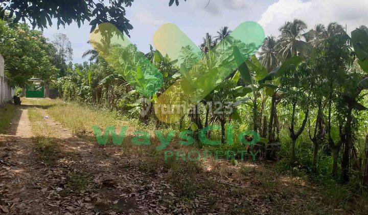 DIJUAL CEPAT TANAH CANTIK DAERAH KOKA MAPANGET, HARGA DI BAWAH PASARAN 5