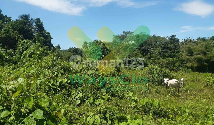 DIJUAL CEPAT TANAH MENARIK DAN STRATEGIS DAERAH MAPANGET, HARGA SANGAT MURAH 3
