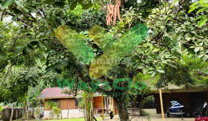DIJUAL CEPAT TANAH CANTIK DAN MENARIK DAERAH KALASEY, HARGA DI BAWAH PASARAN 2
