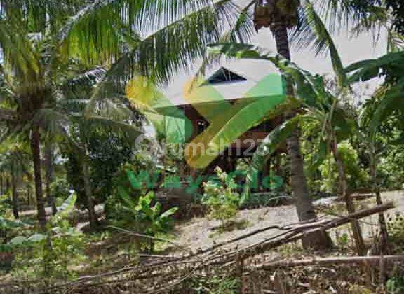 DIJUAL CEPAT TANAH MENARIK DAERAH LEMBEAN TIMUR, HARGA SANGAT MURAH 2