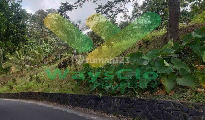 DIJUAL CEPAT TANAH CANTIK DAN MENARIK VIEW KOTA MANADO, HARGA SANGAT MURAH 2