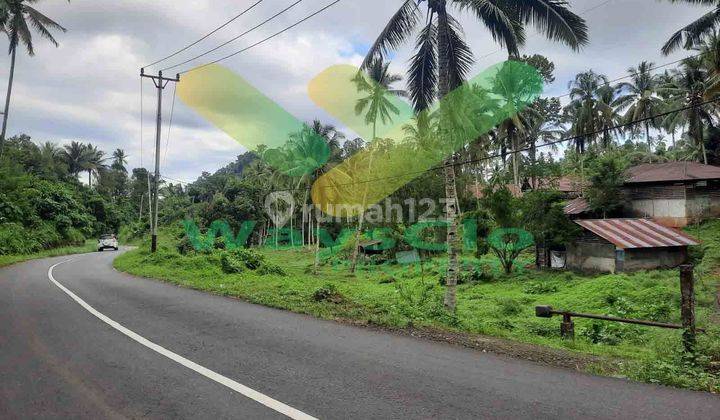 Tanah Sawah Dijual Di Tombariri Minahasa Harga Per Meter 2024