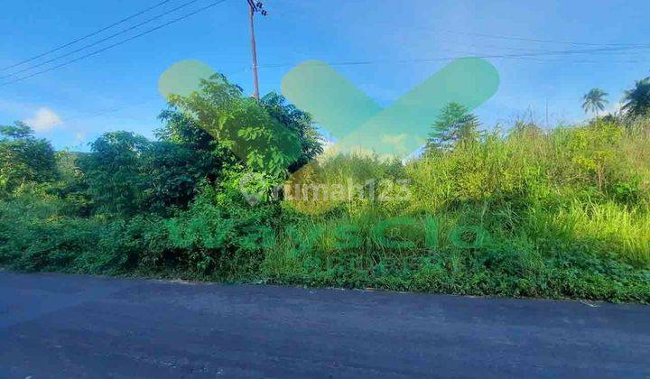 DIJUAL CEPAT TANAH SANGAT STRATEGIS DAERAH MAPANGET, HARGA SANGAT MURAH 2