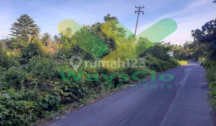 DIJUAL CEPAT TANAH SANGAT STRATEGIS DAERAH MAPANGET, HARGA SANGAT MURAH DIJUAL CEPAT TANAH SANGAT STRATEGIS DAERAH MAPANGET, HARGA SANGAT MURAH