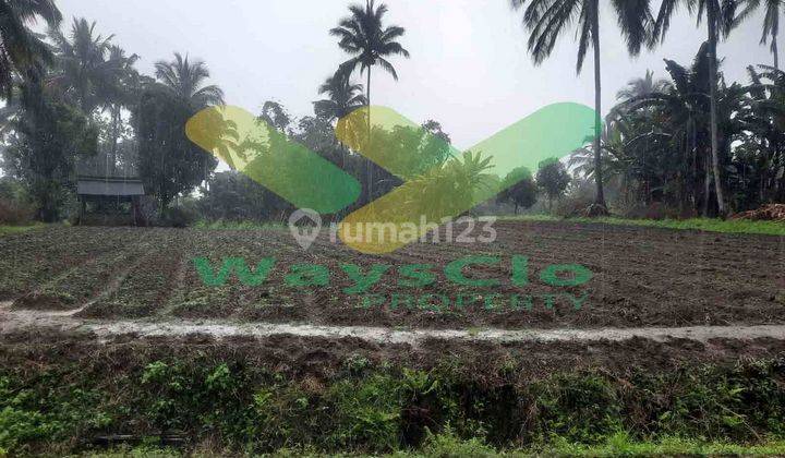 DIJUAL CEPAT TANAH CANTIK DAN MENARIK DAERAH TOMOHON, HARGA SANGAT MURAH 1