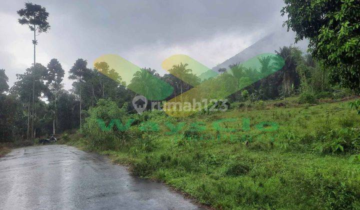 DIJUAL CEPAT TANAH CANTIK DAN MENARIK DAERAH TOMOHON, HARGA SANGAT MURAH 1