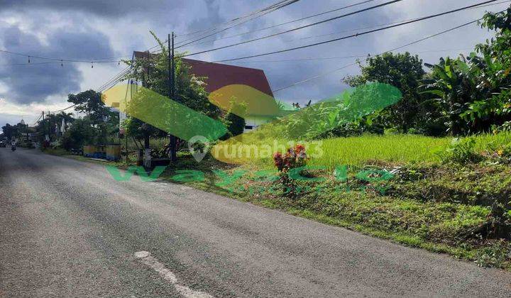 DIJUAL CEPAT TANAH SANGAT STRATEGIS DAERAH MAPANGET, HARGA SANGAT MURAH 2