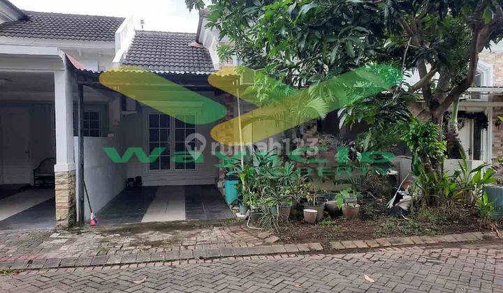 DISEWAKAN RUMAH CANTIK DAN MENARIK DI CITRALAND, HARGA SANGAT MURAH 1