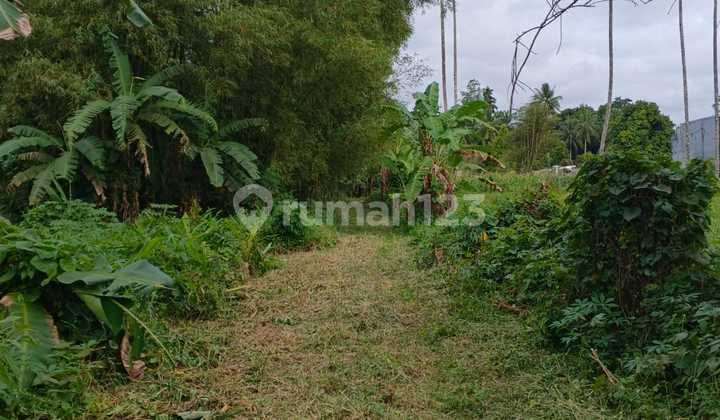 For Sale Fast Beautiful and Attractive Land in Mapanget Consolidation Area, Very Cheap Price