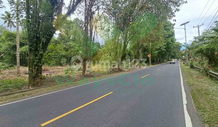 Dijual Cepat Tanah Strategis Peruntikan Gudang Daerah Kauditan, Harga Sangat Murah Dijual Cepat Tanah Strategis Peruntikan Gudang Daerah Kauditan, Harga Sangat Murah