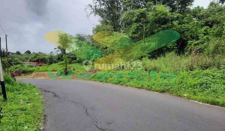 Dijual Cepat Tanah Cantik Dan Menarik Daerah Tomohon, Harga Sangat Murah 1