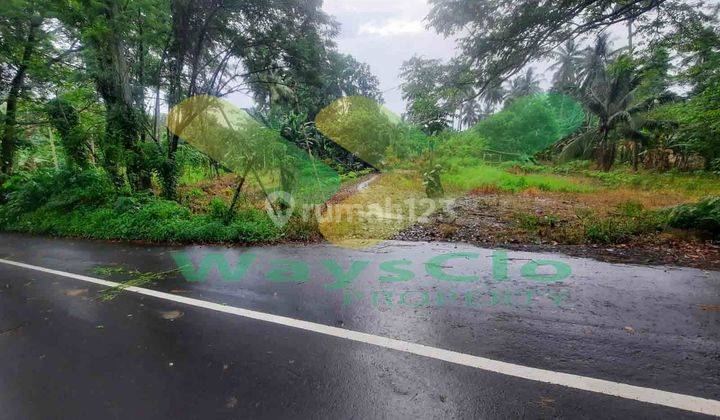 Dijual Cepat Tanah Sangat Murah Daerah Sea, Harga Di Bawah Pasaran 1