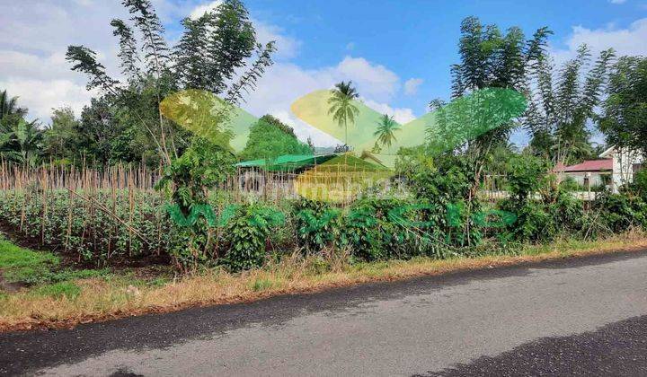 DIJUAL CEPAT TANAH CANTIK DAN MENARIK DAERAH TALAWAAN, HARGA SANGAT MURAH 1