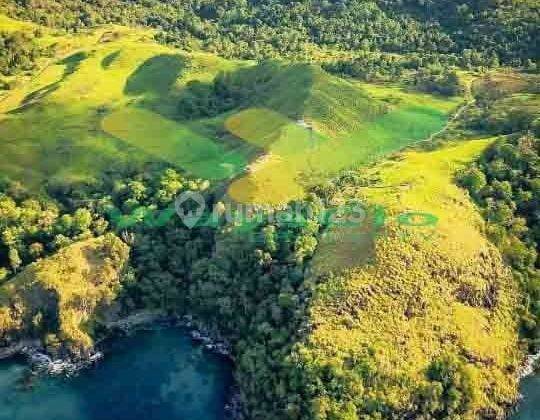 DIJUAL CEPAT TANAH CANTIK PINGGIT PANTAI PULISAN, HARGA SANGAT MURAH 1