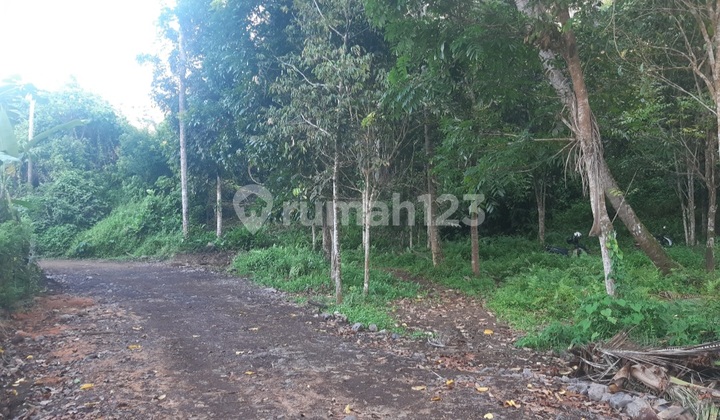 Dijual Cepat Tanah Cantik dan Menarik Daerah Sea, Harga Sangat Murah