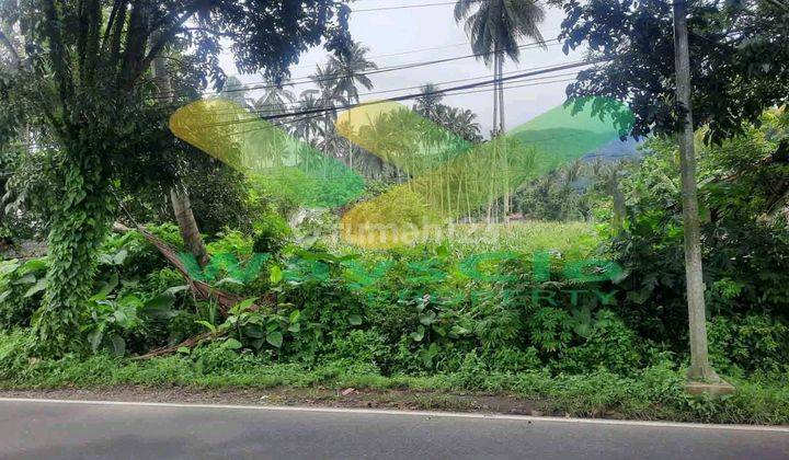 Dijual Cepat Tanah Cantik Dan Menarik Daerah Airmadidi, Harga Sangat Murah 1