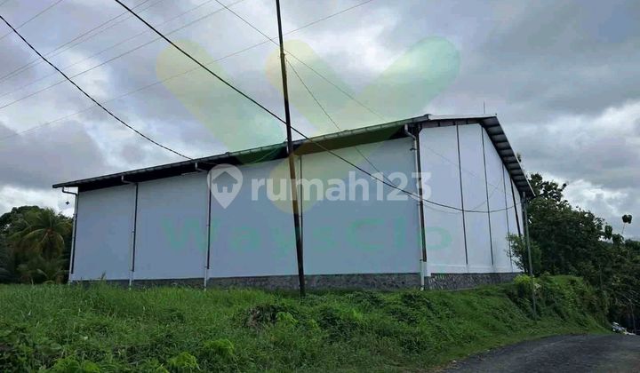 Disewakan Gudang Cantik dan Strategis Daerah Kalawat, Harga Sangat Murah